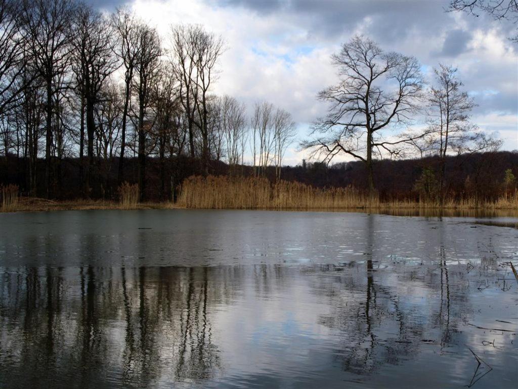 Landpension Wachtkopf ไวฮินเกน อัน แดร์ เอนซ์ ภายนอก รูปภาพ
